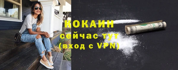 шишки Карпинск