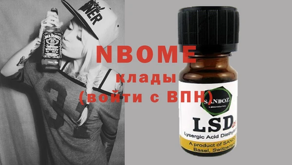 шишки Карпинск