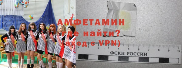 шишки Карпинск