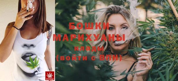 шишки Карпинск